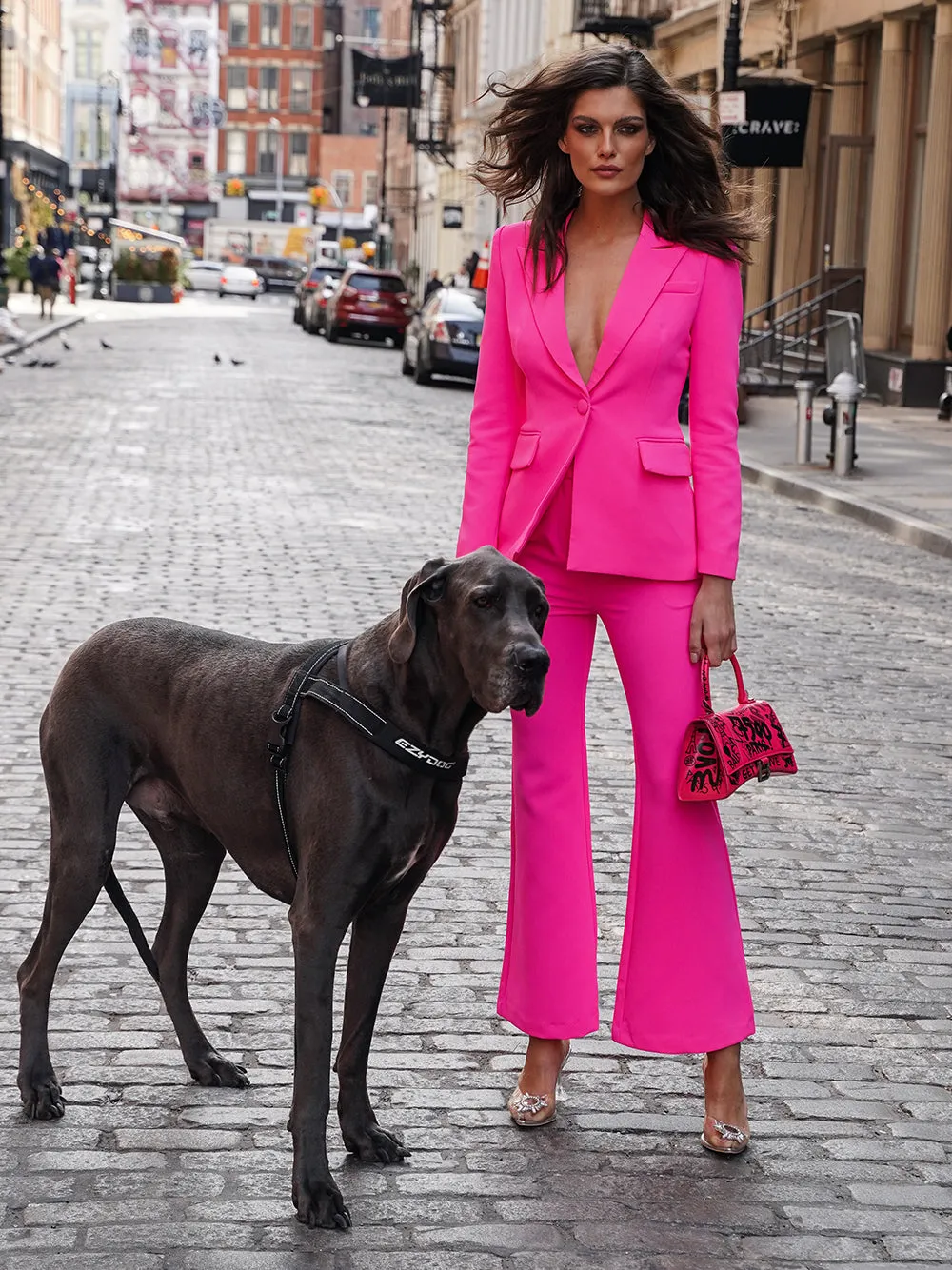 212 Blazer & Pants Set in Fuchsia